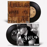 EVERLAST  7-WHAT ITS LIKE/ENDS