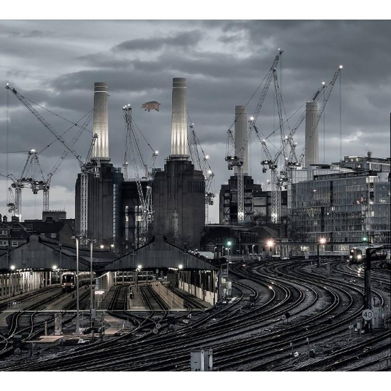 Kniha: Pink Floyd:  Animals (2018 Remix) - Pink Floyd