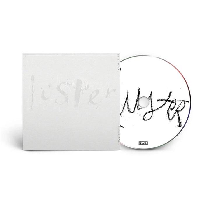 Kniha: Somerville, Maria:  Luster - 4AD