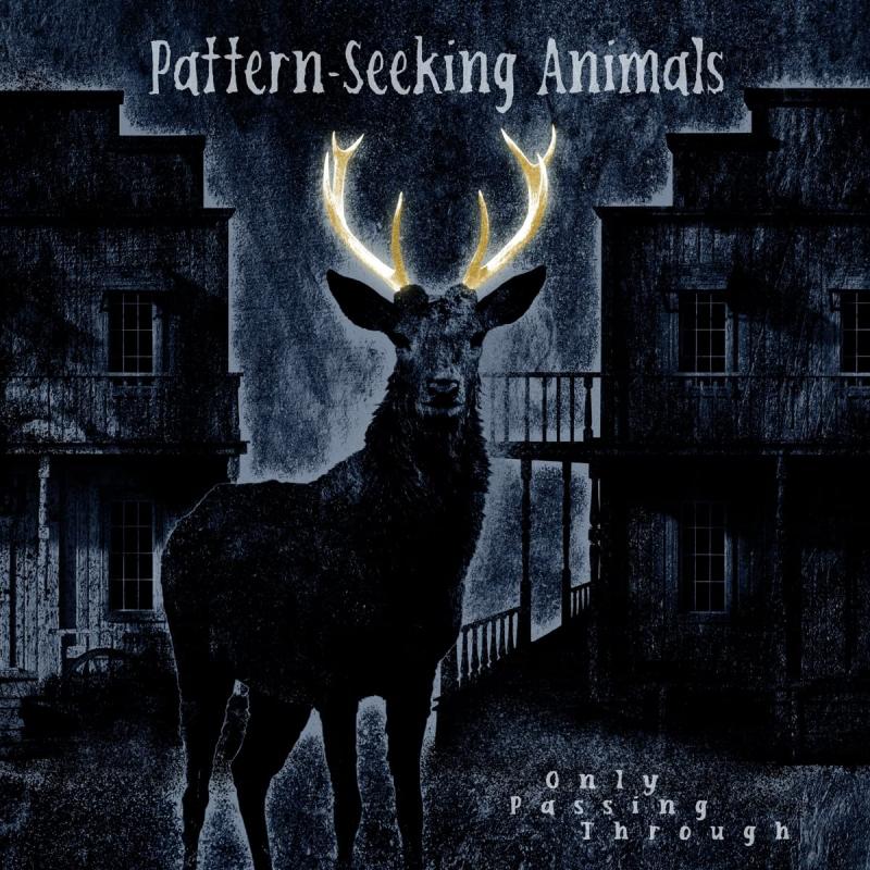 Kniha: Pattern-Seeking Animals: Only Passing Through Lld. - INSIDEOUTMUSIC