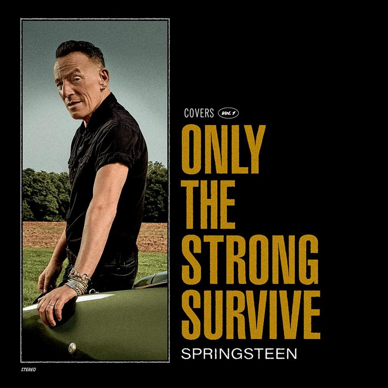 Kniha: Bruce Springsteen: Only The Strong Survive LP - Bruce Springsteen