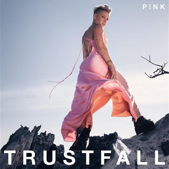 Kniha: Pink: Trustfall 8pg. Booklet LP - PINK