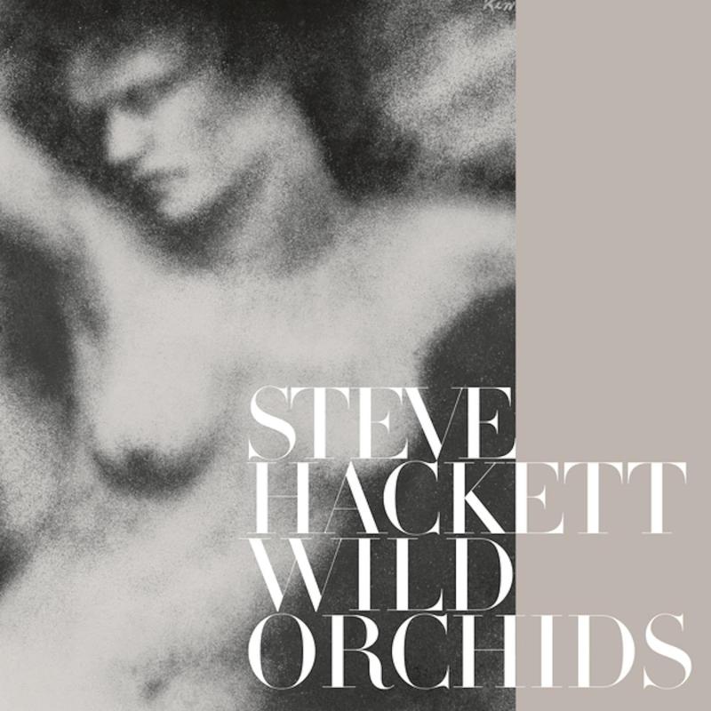 Kniha: Steve Hackett: Wild Orchids LP - INSIDEOUTMUSIC