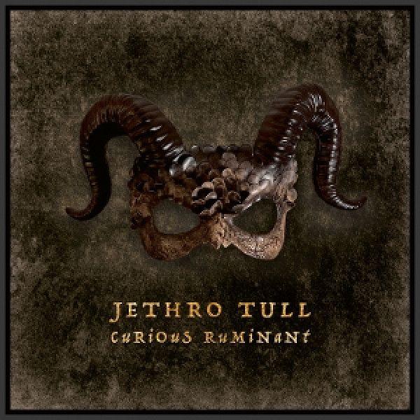 Kniha: Jethro Tull:  Curious Ruminant / 180G Lp-Booklet - Jethro Tull