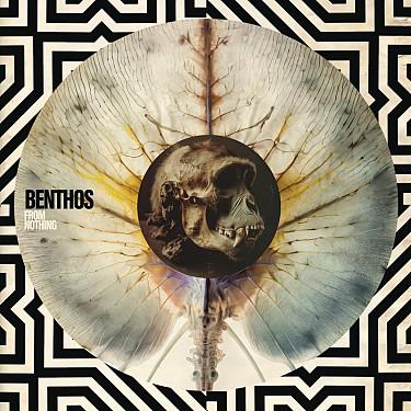 Kniha: Benthos:  From Nothing - Benthos