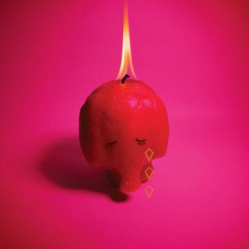 Kniha: Arcade Fire:  Pink Elephant - Arcade Fire
