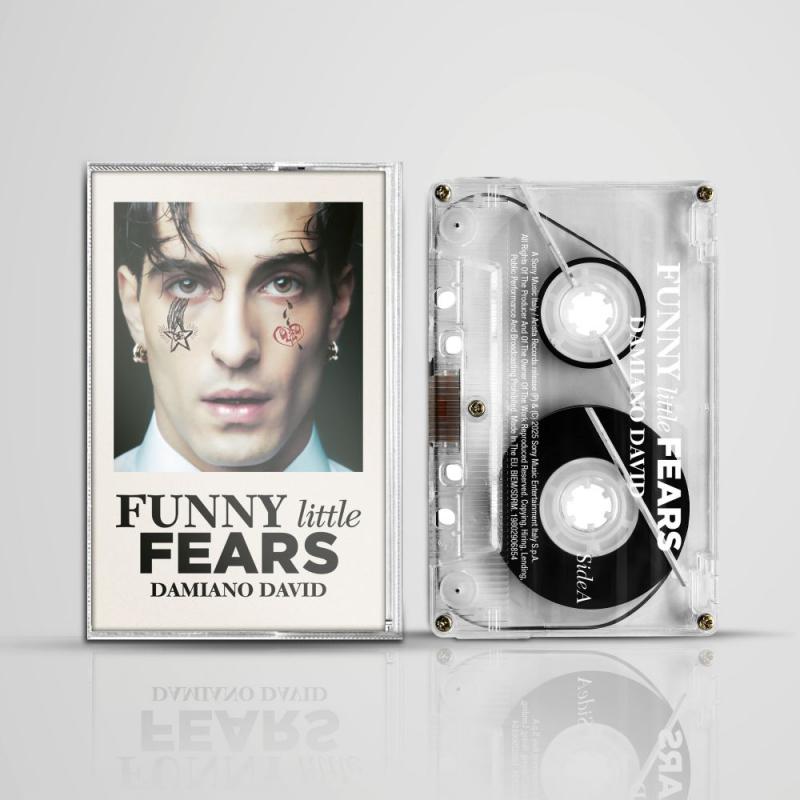 Kniha: David, Damiano:  Funny Little Fears - David