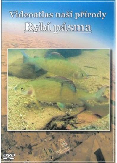Kniha: Videoatlas naší přírody - Rybí pásma - Pálka Jiří