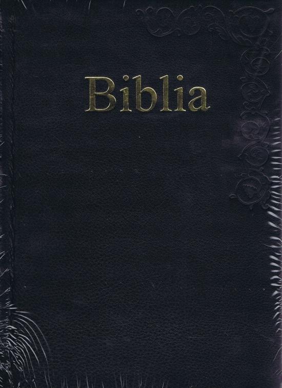 Kniha: Biblia s rytinami v kožikolektív autorov