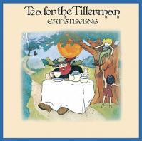 Stevens Cat:  Tea For The Tillerman