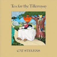 Stevens Cat:  Tea For The Tillerman
