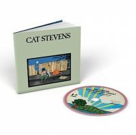 Stevens Cat:  Teaser And The Firecat