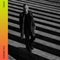 Sting: The Bridge