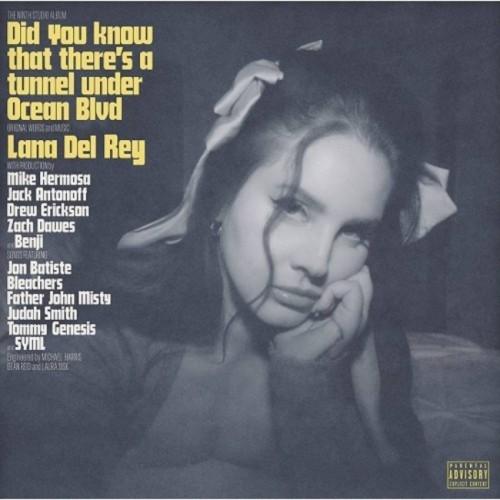 Kniha: Lana Del Rey: Did you know that there´s a tunnel under Ocean Blvd LP - INTERSCOPE