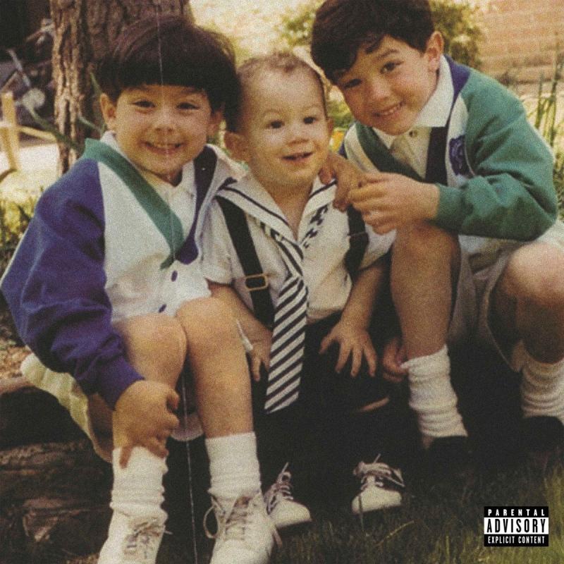 Kniha: Jonas Brothers: The Family Business (Coloured) LP - Jonas Brothers