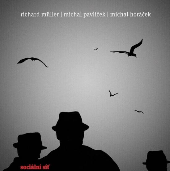 Kniha: Richard Müller: Sociální síť - Richard Müller