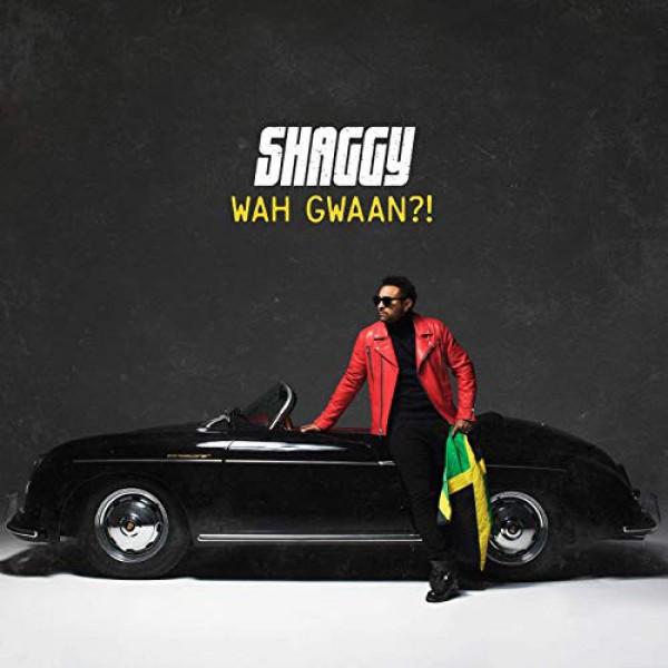 Kniha: Shaggy: Wah Gwaan? LP - Shaggy