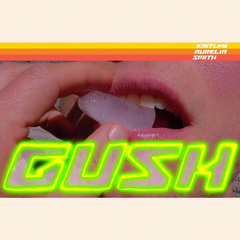 Kniha: Smith, Kaitlyn Aurelia:  Gush - Smith