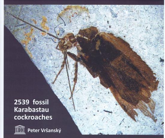 Kniha: Late Mesozoic cockroaches s.l. from the Karabastau Formation in Kazakhstan - Vršanský Peter