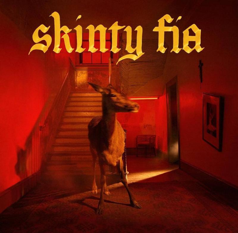 Kniha: Fontaines D.C.:  Skinty Fia: - Fontaines D.C.