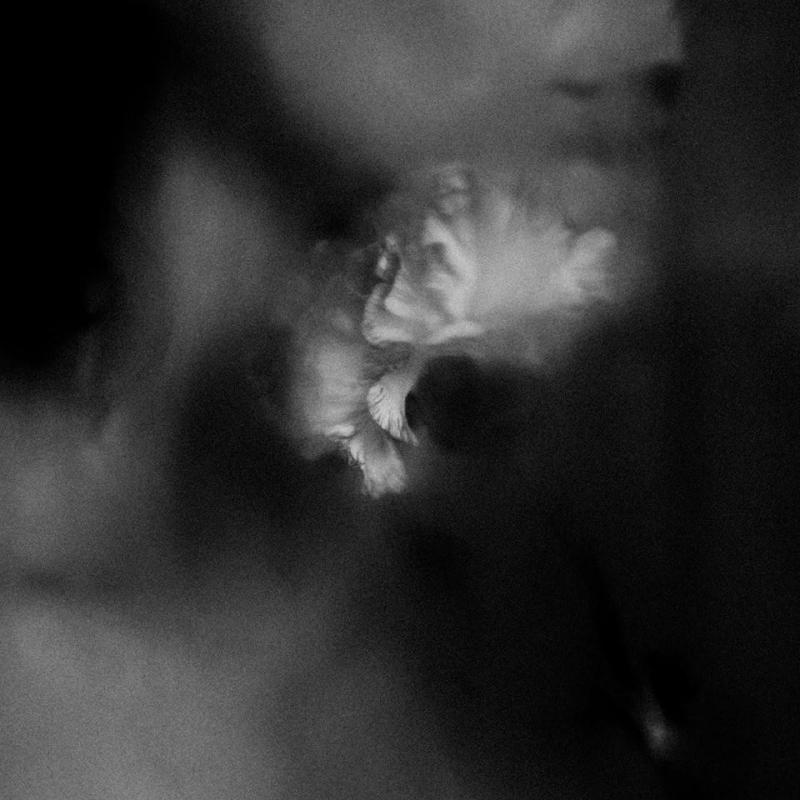Kniha: Holding Absence:  Holding Absence - Holding Absence