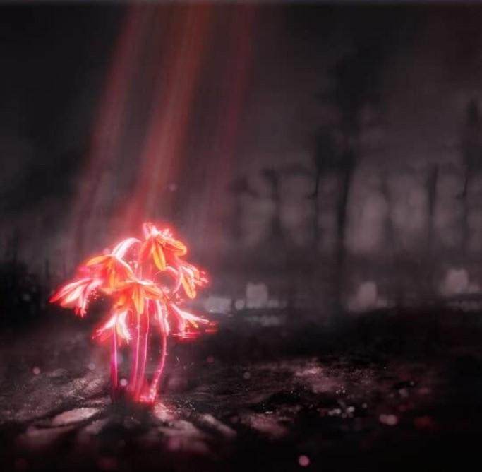 Kniha: Enter Shikari: A Kiss For The Whole World - GOODTOGO