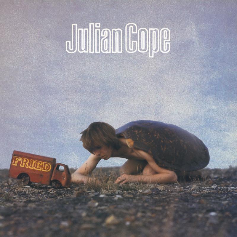 Kniha: JULIAN COPE  FRIED / 180G - PROPER