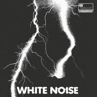 WHITE NOISE  AN ELECTRIC STORM