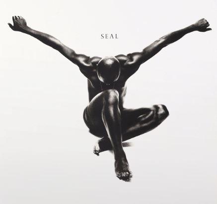 Kniha: Seal: Seal (Clear) LP - Seal