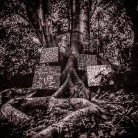 WASHINGTON, KAMASI  HARMONY OF DIFFERENCE