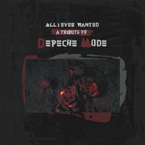 Kniha: All I Ever Wanted: A Tribute to Depeche Mode - MEMBRAN MEDIA