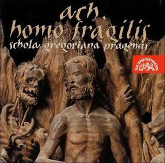 Kniha: Ach, homo fragilis - CD - Schola Gregoriana Pragensis