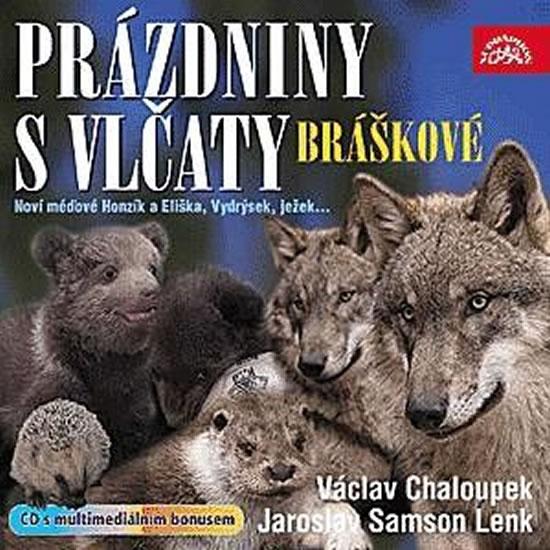 Kniha: Bráškové, prázdniny s vlčaty - CD - Různí interpreti