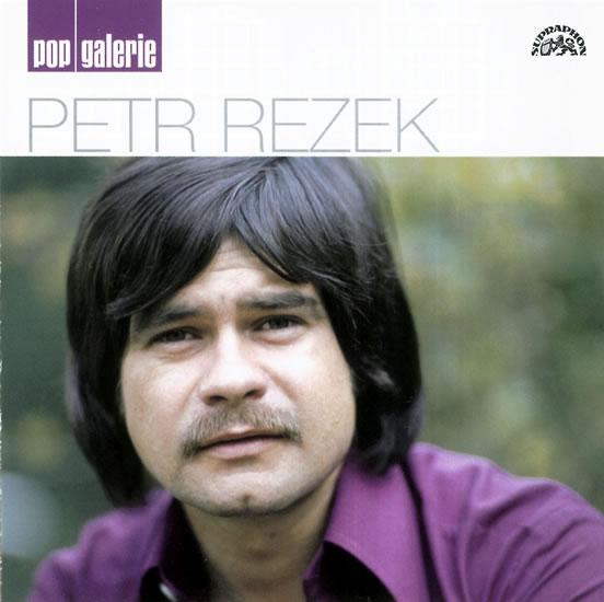 Kniha: Petr Rezek - pop galerie CD - Rezek Petr