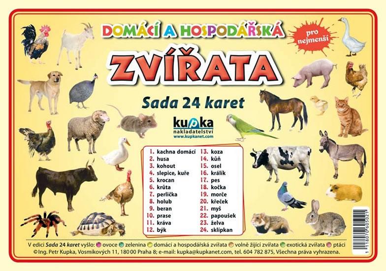 Kniha: Domácí a hospodářská zvířata - Sada 24 karet - Kupka a kolektiv Petr