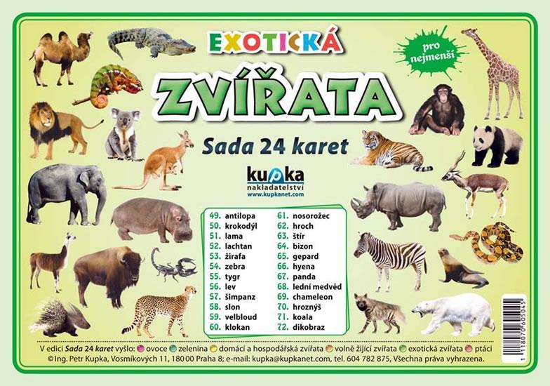 Kniha: Exotická zvířata - Sada 24 karet - Kupka a kolektiv Petr