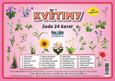 Kniha: Květiny - Sada 24 karet - Kupka a kolektiv Petr