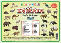 Sada 24 karet - zvířata (exotická 2)