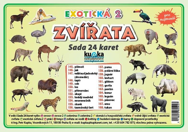 Kniha: Sada 24 karet - zvířata (exotická 2) - Kupka Petr