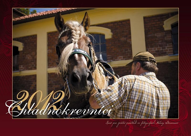 Kniha: Chladnokrevníci 2012 - H. Görnerová