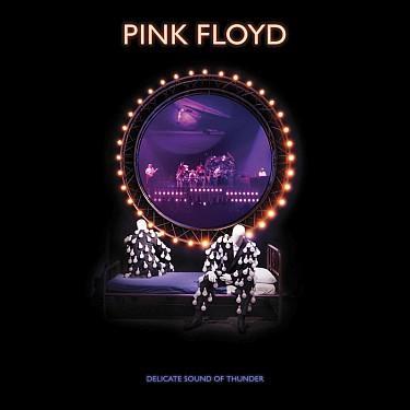 Kniha: Pink Floyd: Delicate Sound Of Thunder - 2 CD - Pink Floyd