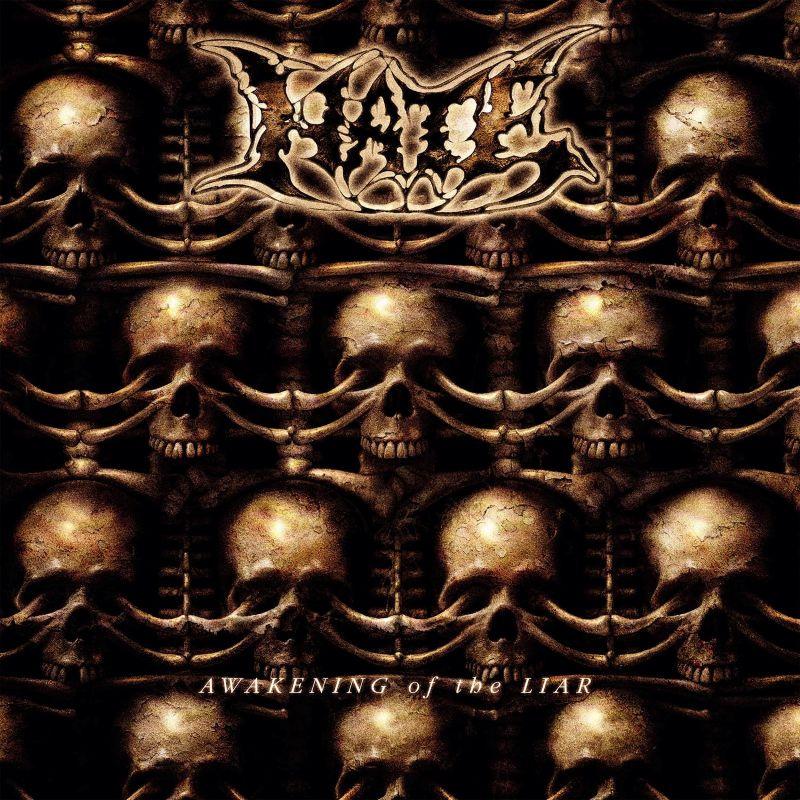 Kniha: Hate:  Awakening Of Lair - Hate