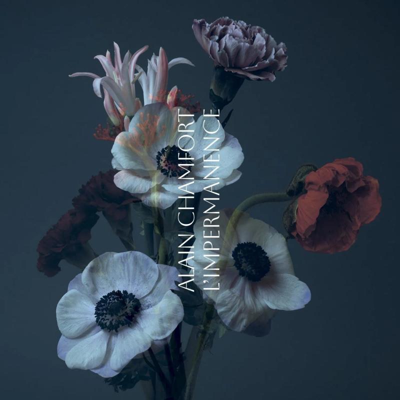 Kniha: Alain Chamfort:  L´Impermanence - Bertelsmann Music Gr