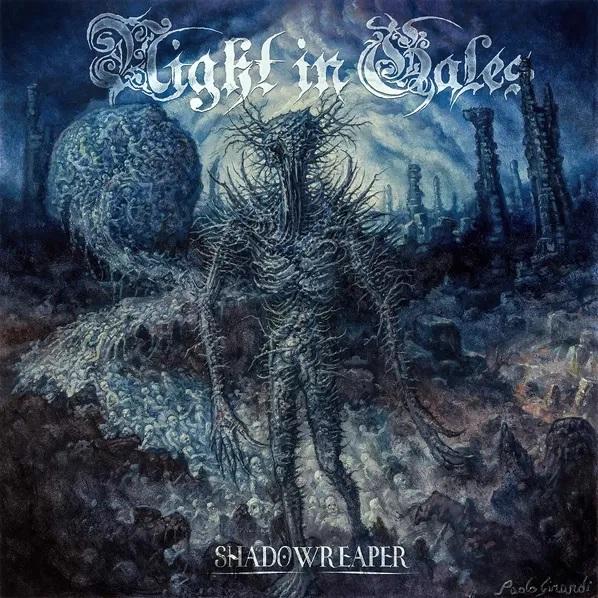 Kniha: Night In Gales:  Shadowreaper - Night In Gales