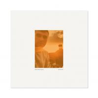Fred Again:  Actual Life 2 (Rsd 2025) / 140Gr.