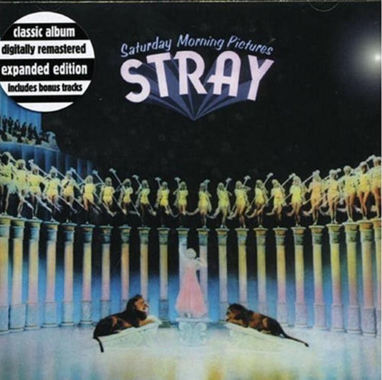 Kniha: Stray:  Saturday Morning Pictures - Stray