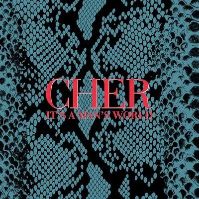 Kniha: Cher: It´s A Man´s World - Cher