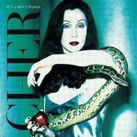 Cher:  It´S A Man´S World / 180Gr.