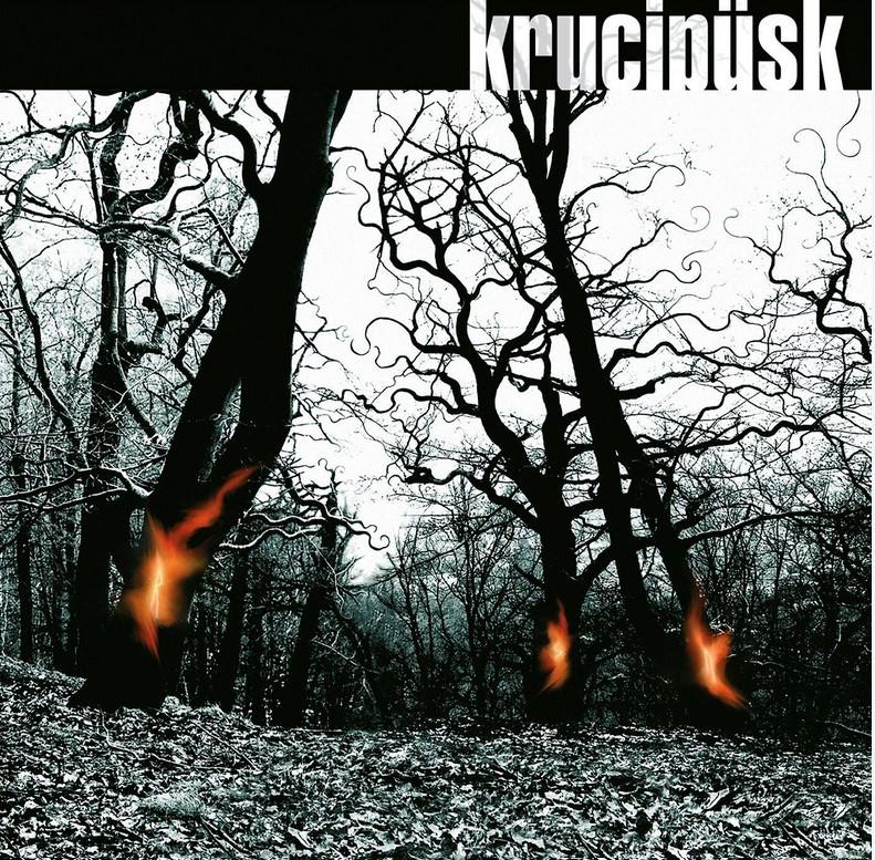 Kniha: Krucipüsk: Druide (20th Anniversary Remaster) LP - Krucipüsk