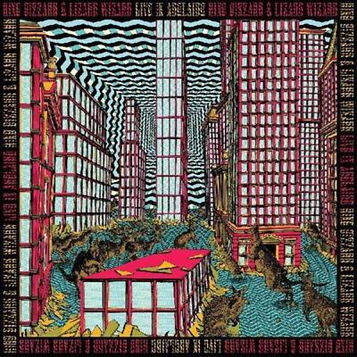 Kniha: King Gizzard -amp; The Lizard Wizard:  Live In Adelaide 19 - King Gizzard -amp; The Lizard Wizard